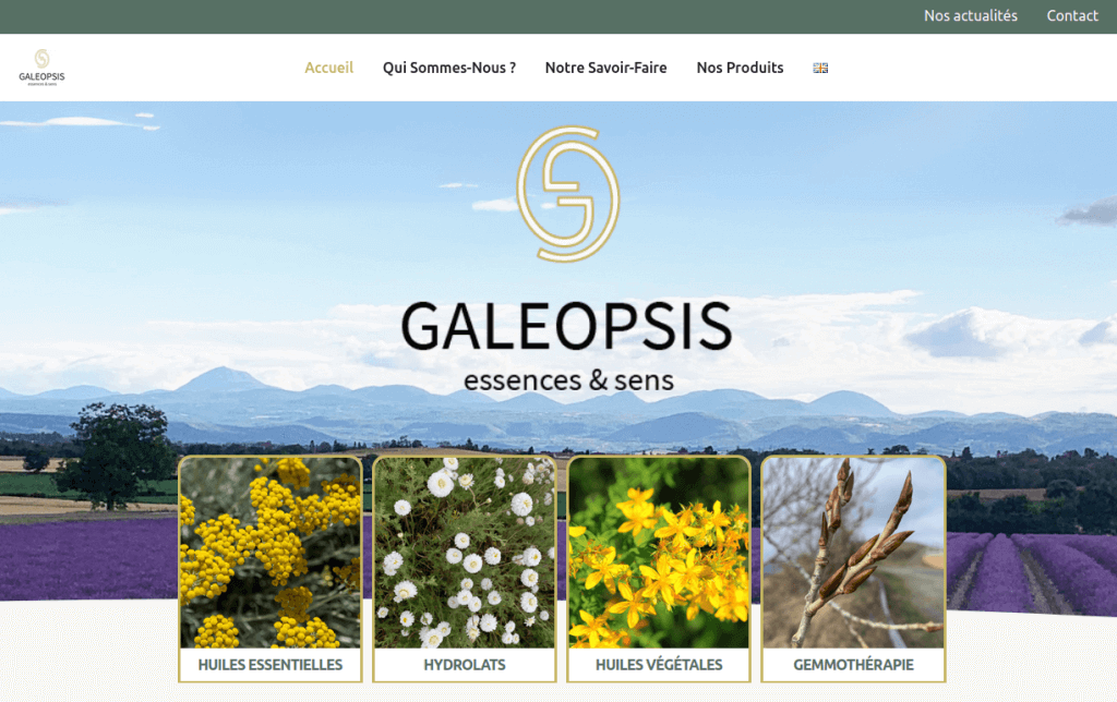 Accueil site Galeopsis